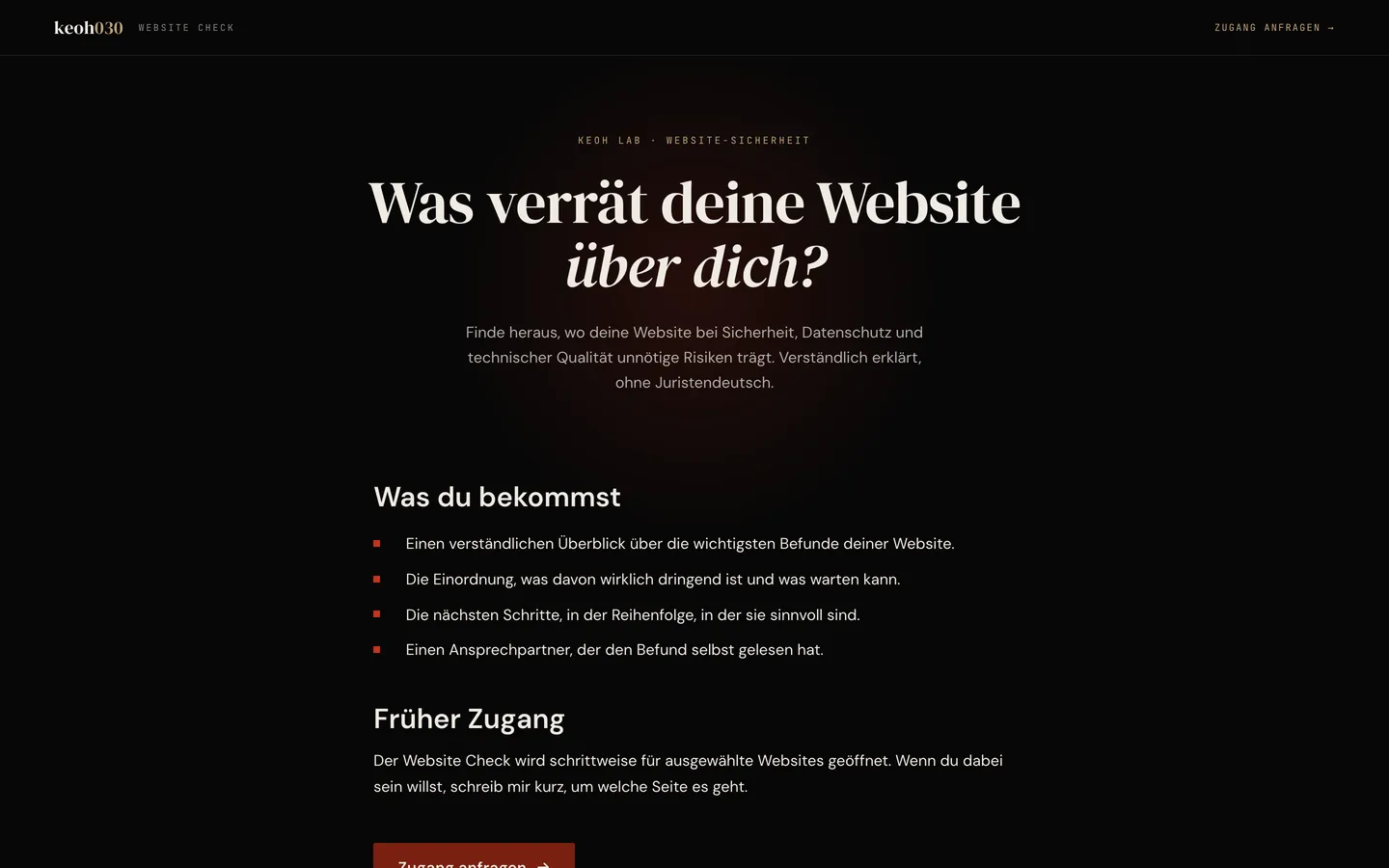 Bildschirmabzug des Website Check